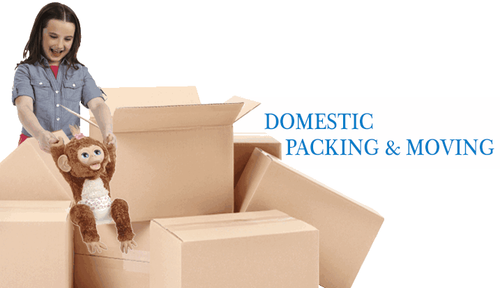 domestic packing and moving