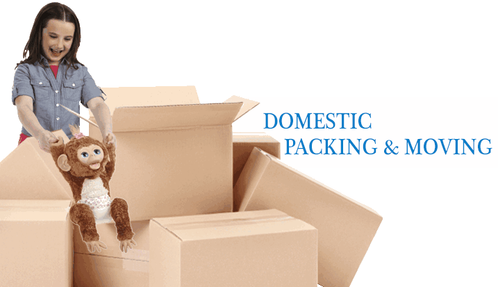 Professional Movers And Packers